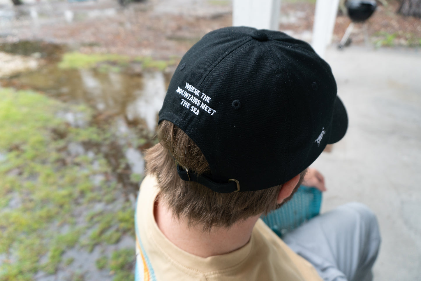 Topanga Lake Dad Cap